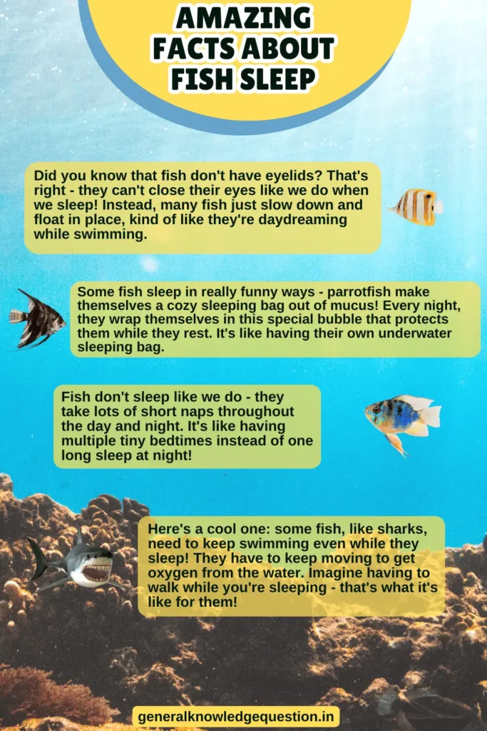 Amazing Facts About Fish