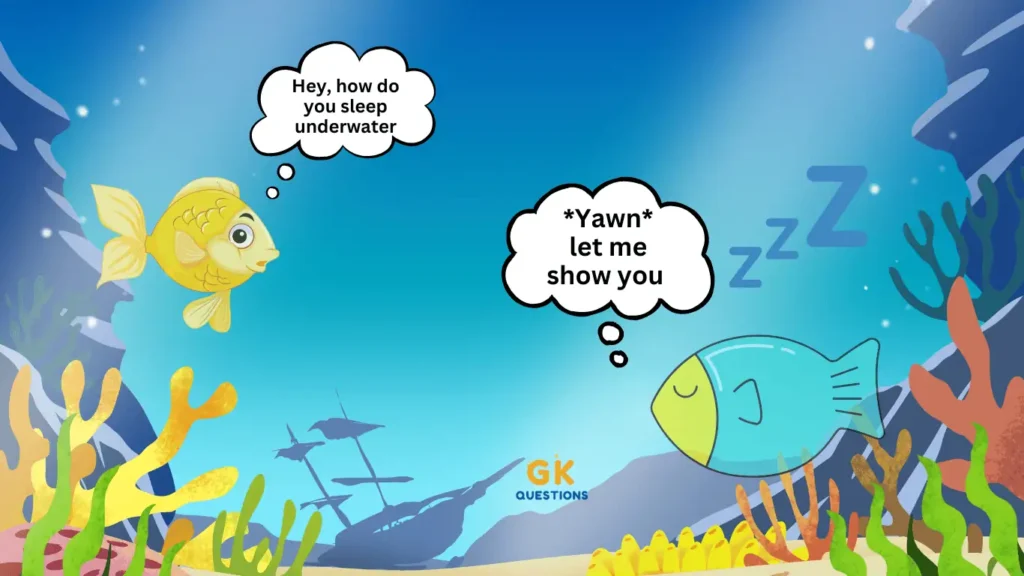 Two fish talking about their sleep