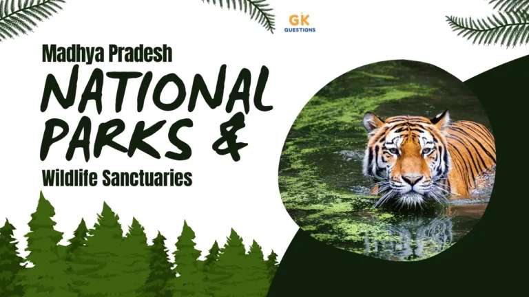 National Parks in Madhya