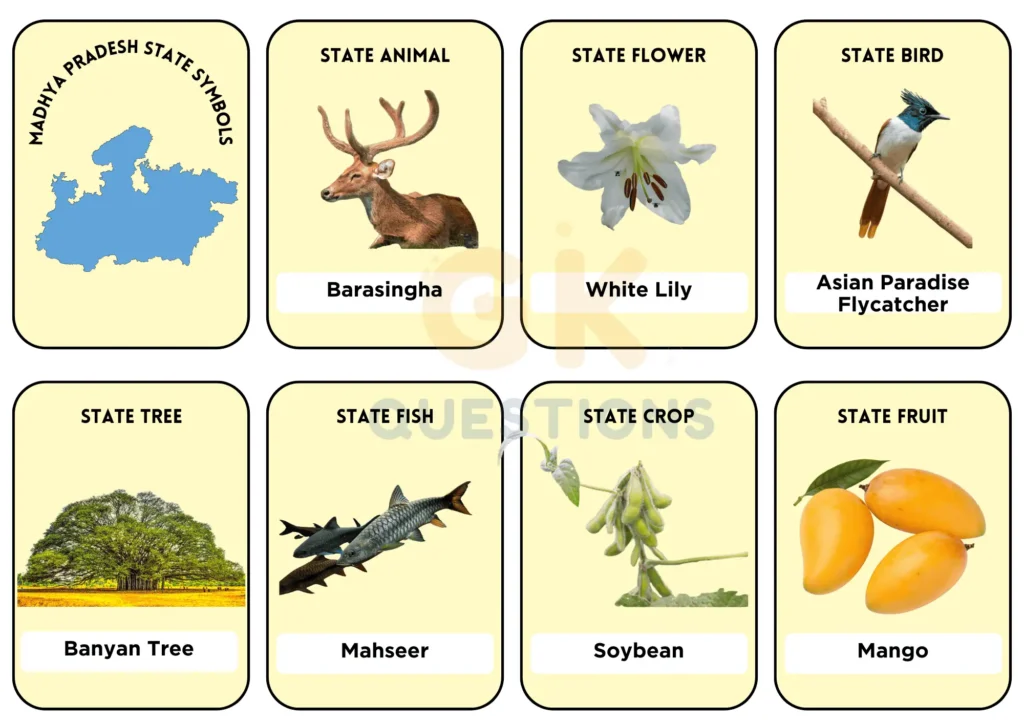 MP State Symbols